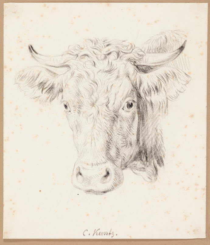 Signatur: "C. Kuntz.": Beschriftung verso: Bleistiftskizze einer liegenden Kuh: Beschriftung auf Trägerkarton recto: "4."